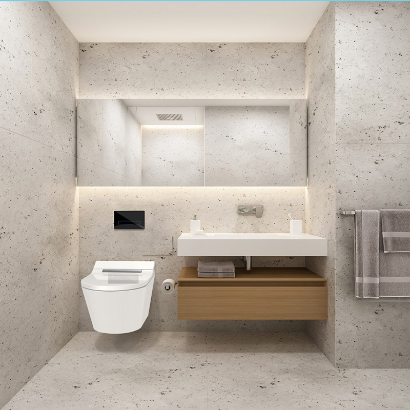 Dusch-WC-Bidet-Sitz mit Wandspülkasten
