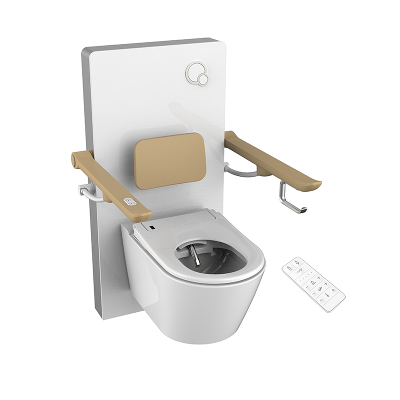 Electric toilet lifter