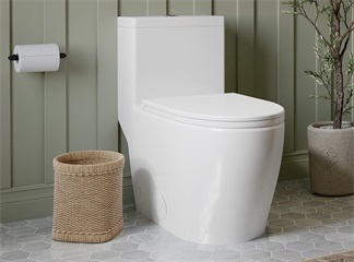 Electronic Bidet Seat