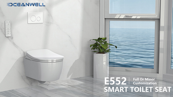 custom smart bidet toilet seat 