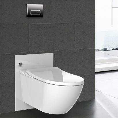 fashion smart toilet