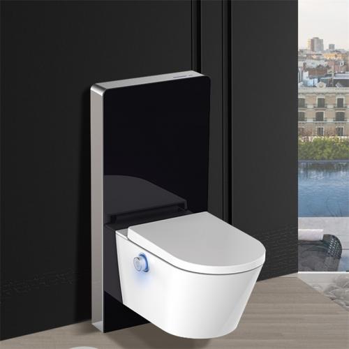 bidet toilet seat Cabinet cistern