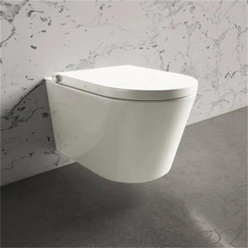 Electric bidet seat douche WC