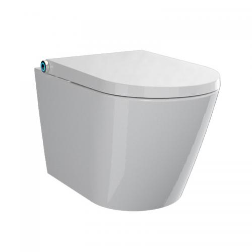 Integrated smart toilet