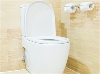 Muss ich mit meinem elektronischen Bidet einen Wasserfilter verwenden?