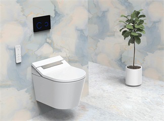 Drei unterschätzte Merkmale intelligenter Toiletten
    