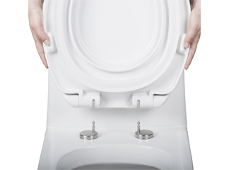 Wie funktionieren Schnellverschluss-Toilettensitzscharniere?