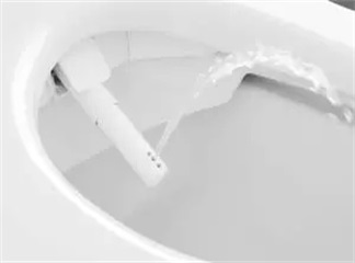 4 Gründe, kein Toilettenpapier mehr zu verwenden und wie man es nicht verwendet
