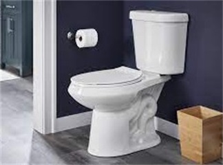 Toilettensitze können Infektionen verursachen: Erfahren Sie, was Sie im Badezimmer anstecken können
    