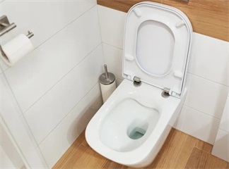 Sind abnehmbare Toilettensitze das Geheimnis für wirklich saubere Toiletten?